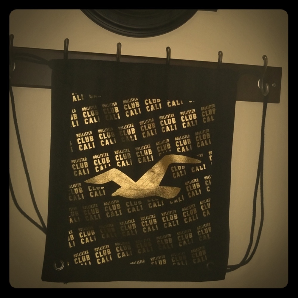 Hollister Bag/Backpack